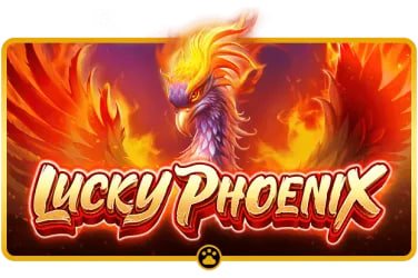 Mobile Dragon Kingdom category layout on 8999 app for adult users in Bangladesh